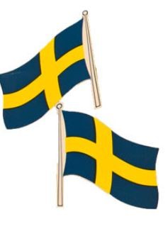 Dekalflagga liten 2P Husvagn Svensson – produktbild