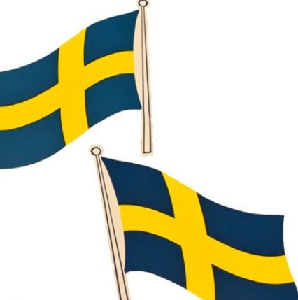 Dekalflagga Stor 2p Husvagn Svensson – produktbild