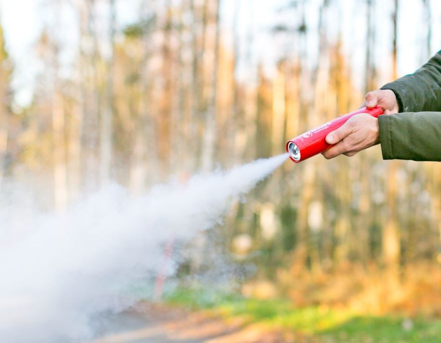 Feuerlöscher Maus Xtin Klein